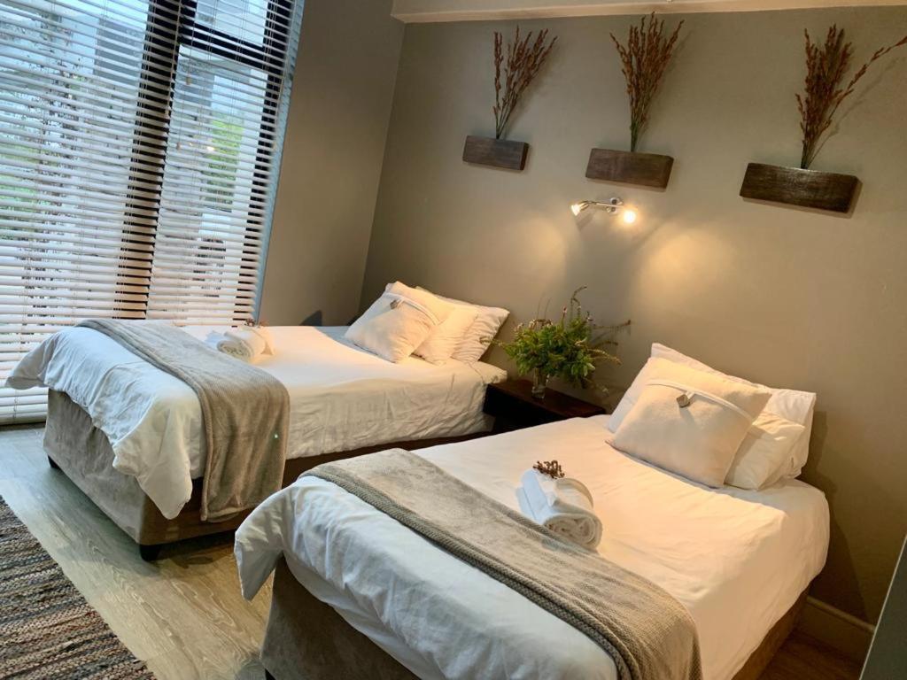 House Vos Villa Hermanus Eksteriør billede